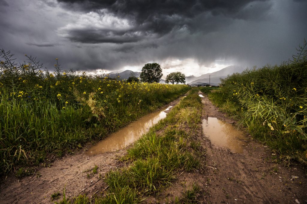 field-thunderstorm-rainy-meadow