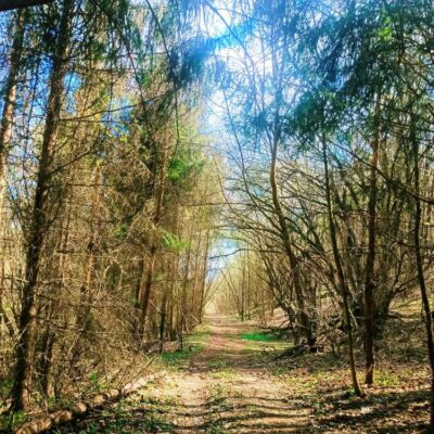 KST Hnúšťa Hradová 05