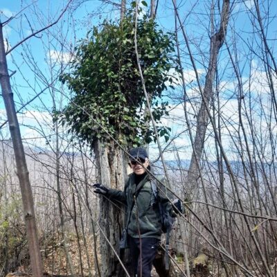 KST Hnúšťa Hradová 43