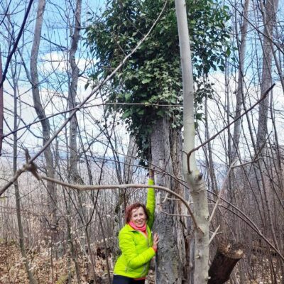 KST Hnúšťa Hradová 44