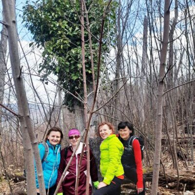 KST Hnúšťa Hradová 45