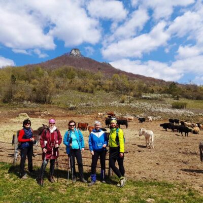 KST Hnúšťa Hradová 49