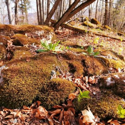 KST Hnúšťa Hradová 55