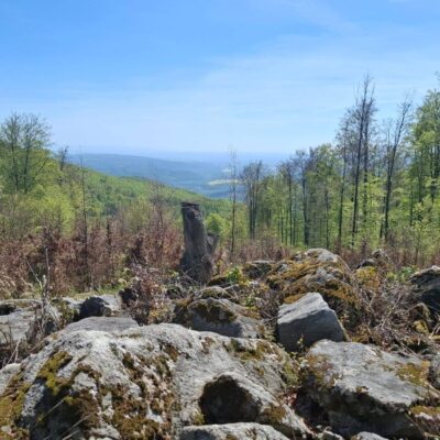 KST Hnúšťa Sinec 13