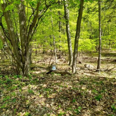 KST Hnúšťa Sinec 26