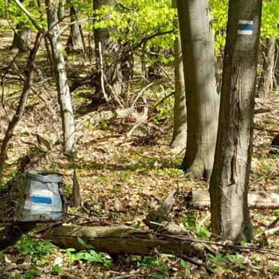 KST Hnúšťa Sinec 28