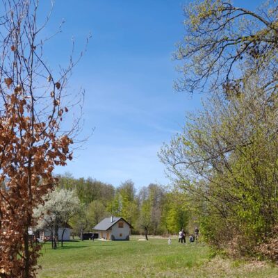 KST Hnúšťa Sinec 36