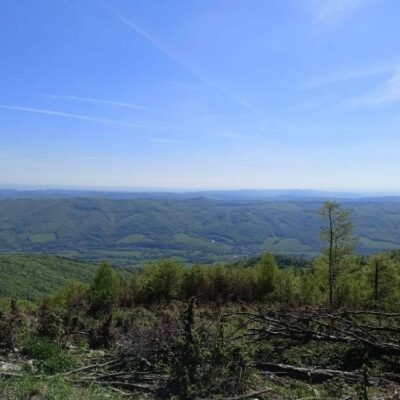 KST Hnúšťa Sinec 42