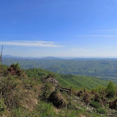 KST Hnúšťa Sinec 43