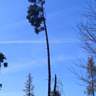 KST Hnúšťa Sinec 44