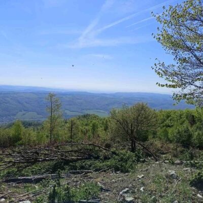 KST Hnúšťa Sinec 45