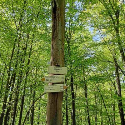 KST Hnúšťa Sinec 46