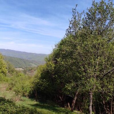 KST Hnúšťa Sinec 52