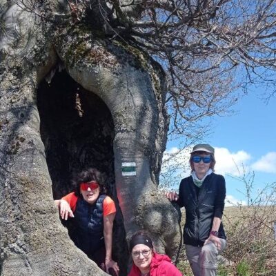 KST Hnúšťa Vrchdobroč 12