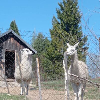 KST Hnúšťa Vrchdobroč 17