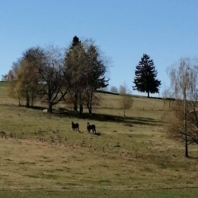 KST Hnúšťa Vrchdobroč 31