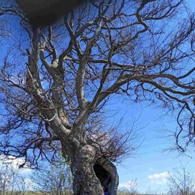 KST Hnúšťa Vrchdobroč 50