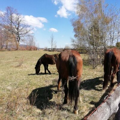 KST Hnúšťa Vrchdobroč 60