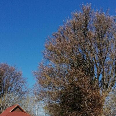 KST Hnúšťa Vrchdobroč 63