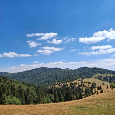 KST Hnúšťa Tlstý javor 60